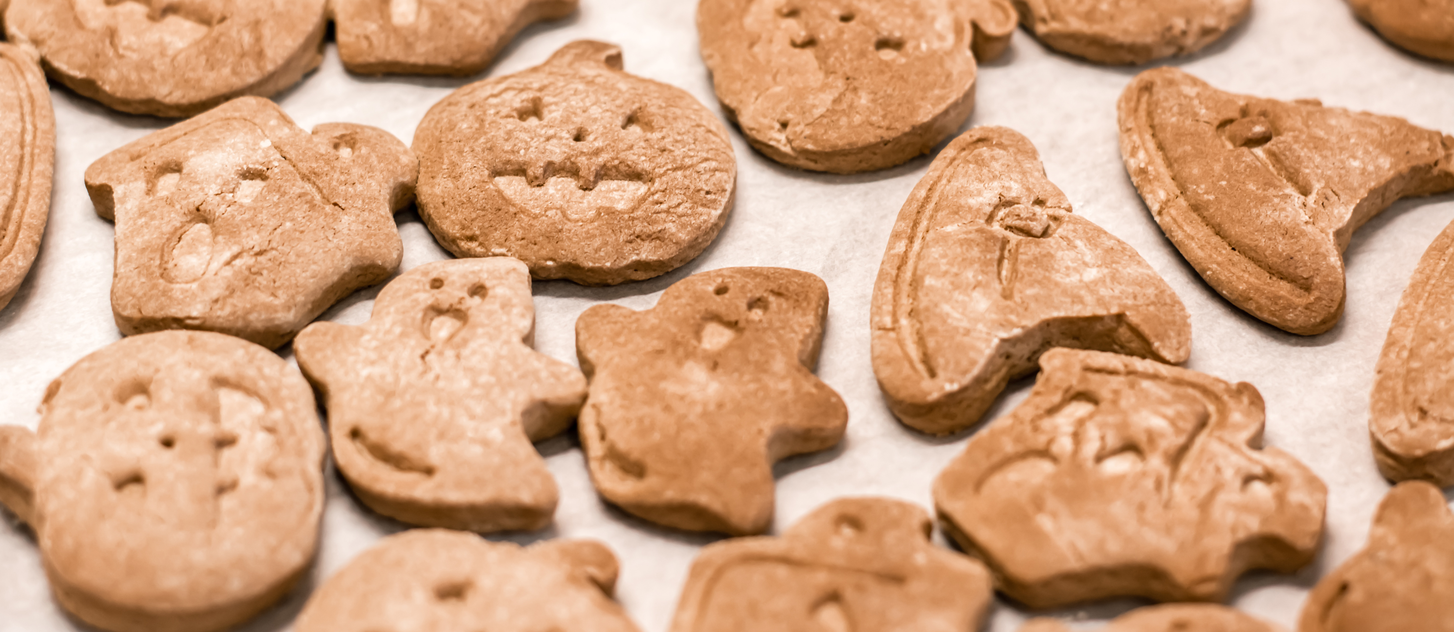 Halloween Pet Treats: Homemade Pumpkin & Peanut Butter Cookies