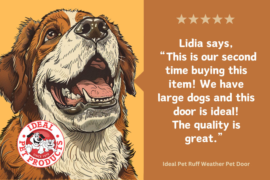 Illustration of a dog and a five-star review